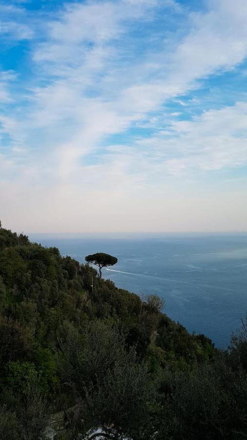 Yourhome - Relais Casa Degli Angeli Positano Ngoại thất bức ảnh